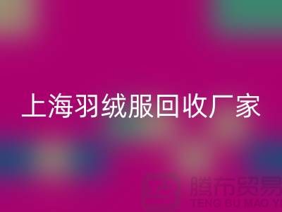 羽绒服华体会体育网页版:环保与经济的双重考量,上海厂家引领行业新风尚