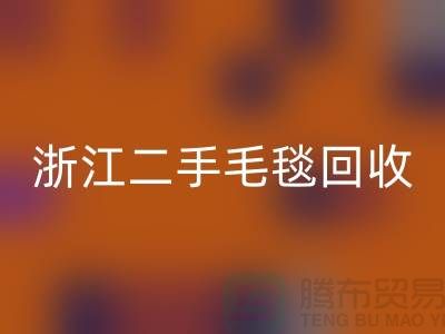 二手毛毯华体会体育网页版，旧物新生的【浙江，上海，江苏】绿色的库存之旅