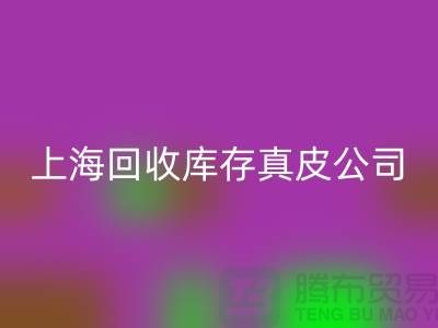 环保与创新:华体会体育网页版库存真皮和羊皮的重要性_上海腾布贸易ShTengBu.com
