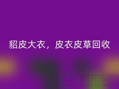 貂皮大衣华体会体育网页版，皮衣皮草华体会体育网页版，高档大衣华体会体育网页版-上海库存服装华体会体育网页版公司