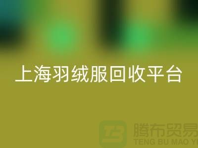 波司登羽绒服华体会体育网页版平台的环保意义-全天可预约华体会体育网页版#上海腾布贸易