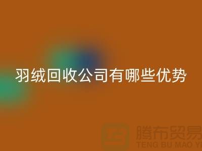 ### 上海羽绒华体会体育网页版公司优势解析：价格公道，服务优质