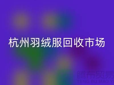 华体会体育网页版羽绒服，让旧物焕发新生——寻找杭州羽绒服华体会体育网页版厂家联系方式
