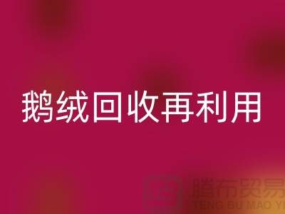 苏州羽绒华体会体育网页版厂家 专业鸭绒华体会体育网页版价格 鹅绒华体会体育网页版再利用