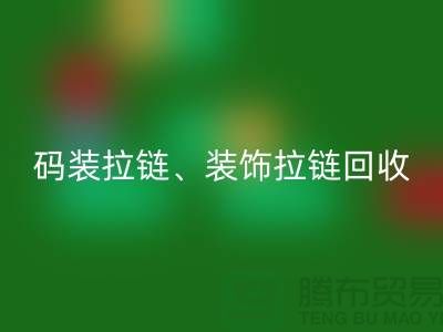 拉链华体会体育网页版市场前景分析 - 码装拉链，装饰拉链，上海拉链华体会体育网页版厂家