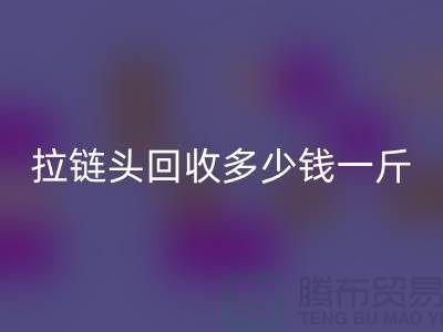 ### 扬州拉链头华体会体育网页版公司介绍-行业中经济实惠的平台