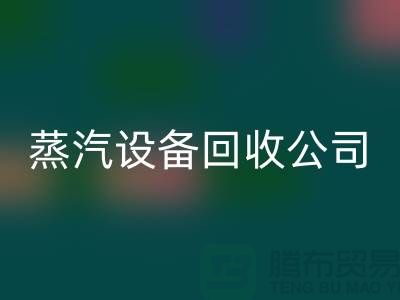 锅炉设备华体会体育网页版厂家：环保与经济效益的完美结合-蒸汽设备华体会体育网页版公司