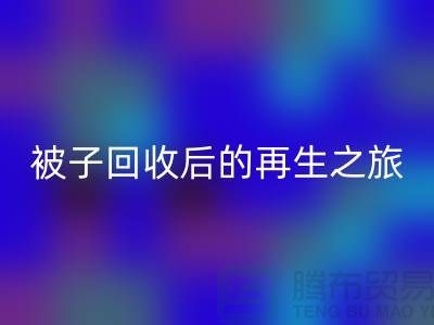 被子华体会体育网页版后的再生之旅