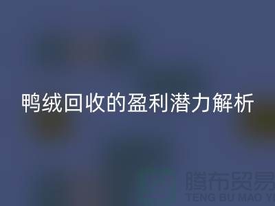 鸭绒华体会体育网页版的盈利潜力解析——上海腾布贸易地址