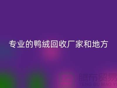 探索鸭绒华体会体育网页版：寻找上海专业的华体会体育网页版厂家与地方