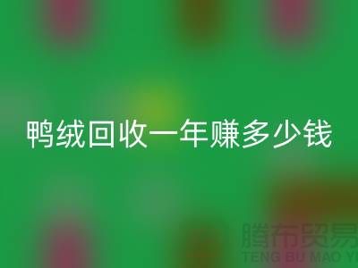 鸭绒华体会体育网页版一年挣多少钱？揭秘利润与环保的双重收益