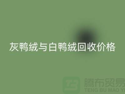 ### 灰鸭绒与白鸭绒：价格及华体会体育网页版详解