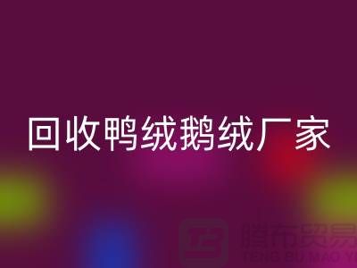 探寻高品质华体会体育网页版鸭绒鹅绒厂家