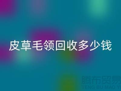 真皮皮衣皮草毛领华体会体育网页版多少钱一个?-上海腾布贸易