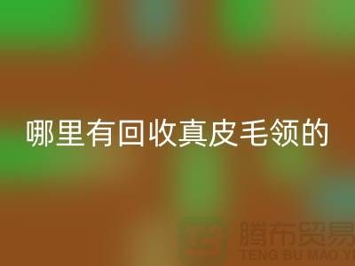 哪里有华体会体育网页版真皮毛领的地方-华体会体育网页版