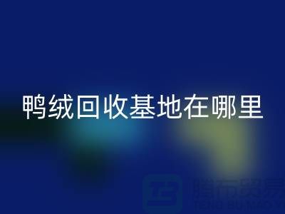 哪里有华体会体育网页版鸭绒的，鸭绒华体会体育网页版基地在哪里@安徽羽绒华体会体育网页版厂家