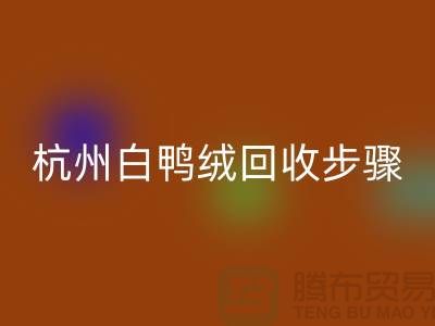 ### 纯白 70 绒、80 绒、90 鸭绒华体会体育网页版步骤@杭州羽绒华体会体育网页版厂家