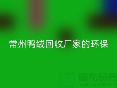 # 专业羽绒华体会体育网页版：常州鸭绒华体会体育网页版厂家的环保与价值之旅
