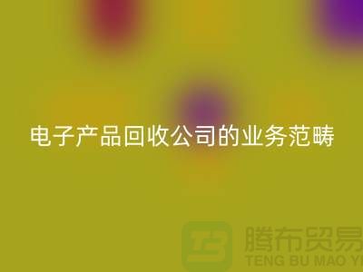 《电子产品华体会体育网页版公司的业务范畴:电子手表、智能手机与电视机》