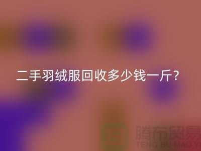 《二手羽绒服华体会体育网页版多少钱一斤?》