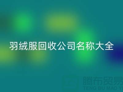 # 二手羽绒服华体会体育网页版公司名称大全:环保与时尚的新选择