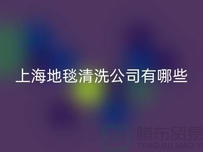 在上海，地毯清洗服务公司有哪些