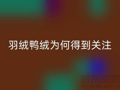 羽绒鸭绒华体会体育网页版公司为何得到所有人关注_华体会体育网页版
