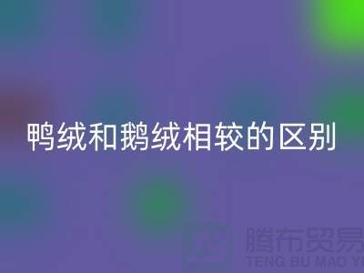 鸭绒和鹅绒相较后的区别-90鸭绒华体会体育网页版-库存羽绒华体会体育网页版公司