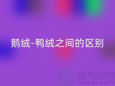 关于鹅绒-鸭绒之间的区别-鹅绒华体会体育网页版-鸭绒华体会体育网页版-羽绒华体会体育网页版厂家
