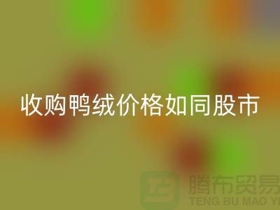 收购鸭绒价格如同股市一样飘泊不定-郑州库存鸭绒华体会体育网页版厂家