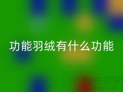 什么是功能羽绒-包含了什么功能-华体会体育网页版库存羽绒-华体会体育网页版库存鸭绒厂家