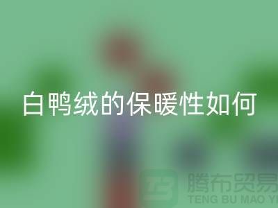 白鸭绒的保暖性如何-90鸭绒华体会体育网页版-华体会体育网页版库存鸭绒-库存鸭绒华体会体育网页版公司