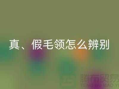 真毛领、假毛领怎么辨别?小心獭兔毛-大量高价华体会体育网页版毛领厂家