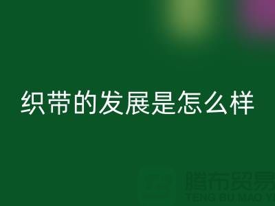 织带的发展是怎么样的呢-废旧织带华体会体育网页版价格-废旧织带华体会体育网页版厂家