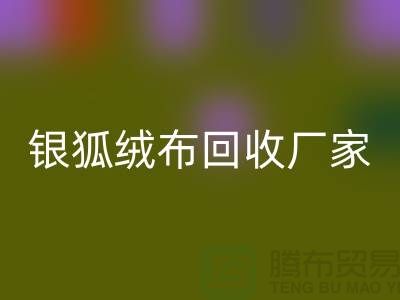 银狐绒布华体会体育网页版厂家：让旧衣物焕发新生-服装面料华体会体育网页版公司