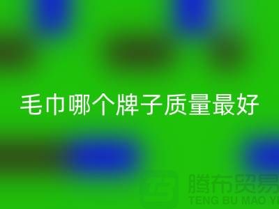 竹纤维毛巾哪个牌子质量最好