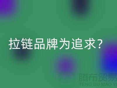 拉链品牌为追求？还是为时尚？_废铜拉链华体会体育网页版公司