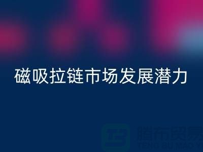 磁吸拉链市场发展潜力研究分析报告_上海拉链华体会体育网页版公司