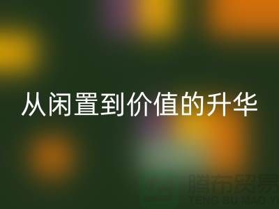 羽绒服华体会体育网页版：从闲置到价值的升华之路