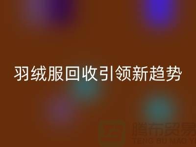 环保时尚潮流：羽绒服华体会体育网页版引领新趋势