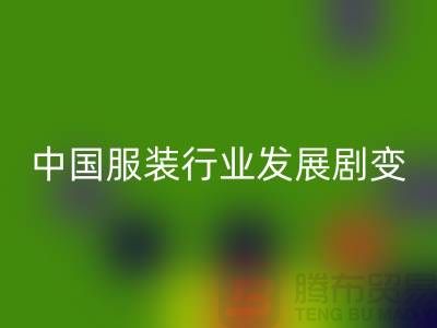 中国服装行业发展剧变-成败重要途径-上海库存服装华体会体育网页版公司