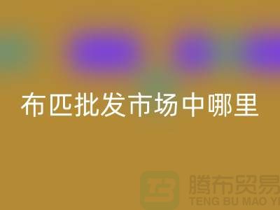 布匹批发市场中哪里布料市场最有名_沙发布料批发市场