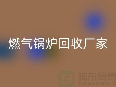 燃气锅炉华体会体育网页版厂家：做到了企业环保更完美-大型锅炉华体会体育网页版