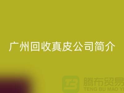 真皮华体会体育网页版厂家介绍-市场价格浮动不定-广州华体会体育网页版真皮公司简介