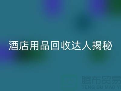 酒店用品华体会体育网页版达人揭秘：如何高效盈利