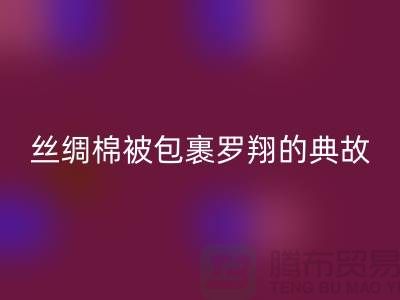 丝绸棉被包裹罗翔的典故