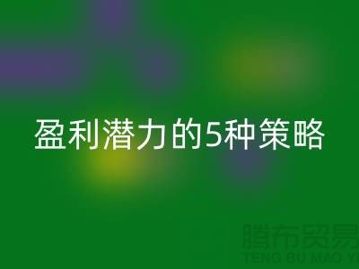 酒店用品华体会体育网页版市场：挖掘盈利潜力的5种策略