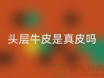 鞋子头层牛皮是真皮吗还是假皮@腾布解说员分享