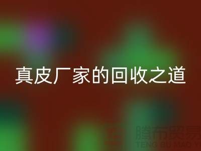 探寻真皮厂家的华体会体育网页版之道:打造环保时尚新潮流