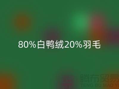 80%白鸭绒20%羽毛这样的羽绒服好不好